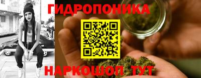 шишки Донецк
